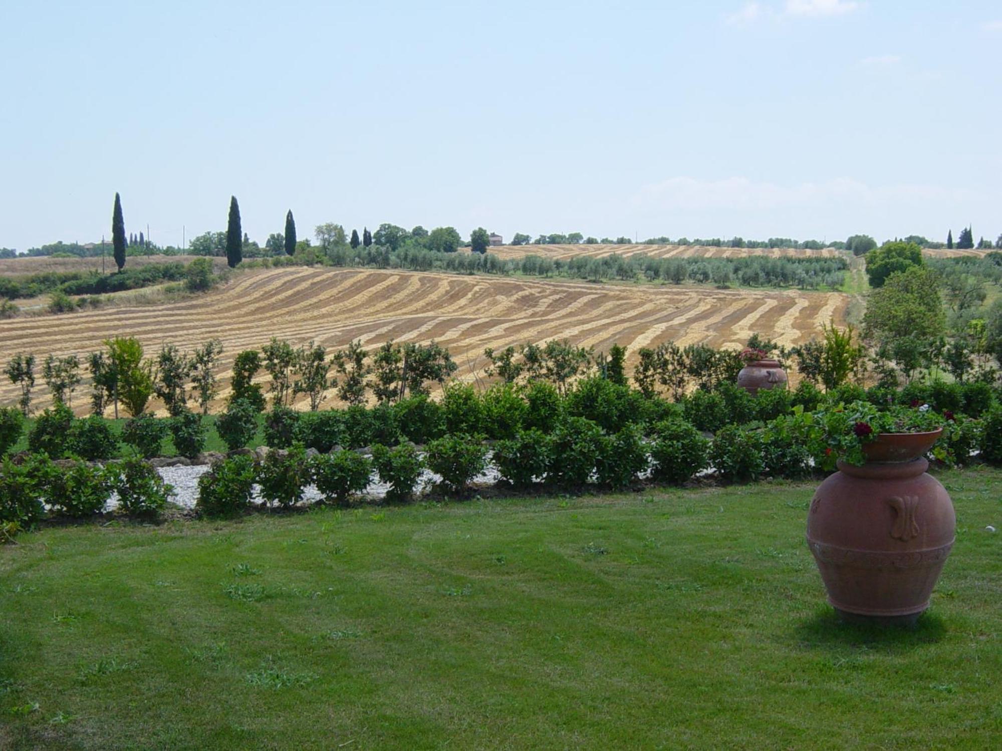 פיינצה Agriturismo Il Macchione מראה חיצוני תמונה