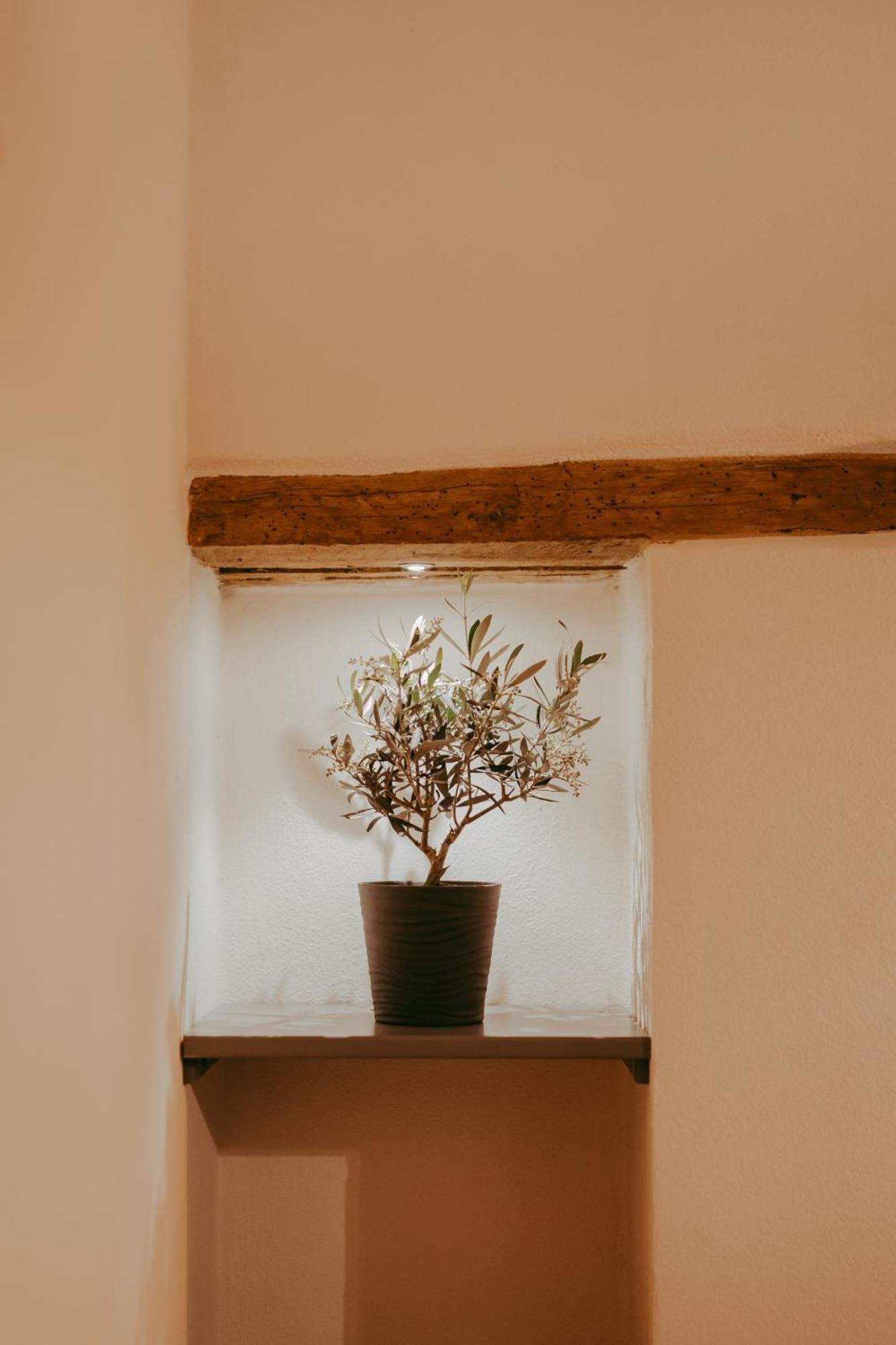 פיינצה Agriturismo Il Macchione מראה חיצוני תמונה