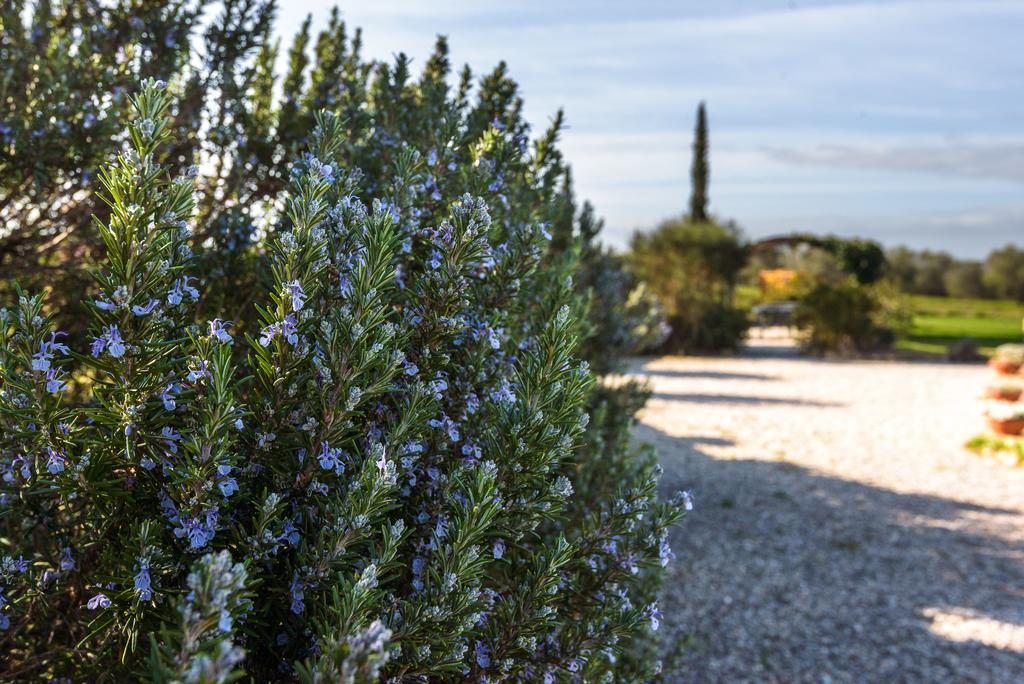 פיינצה Agriturismo Il Macchione מראה חיצוני תמונה